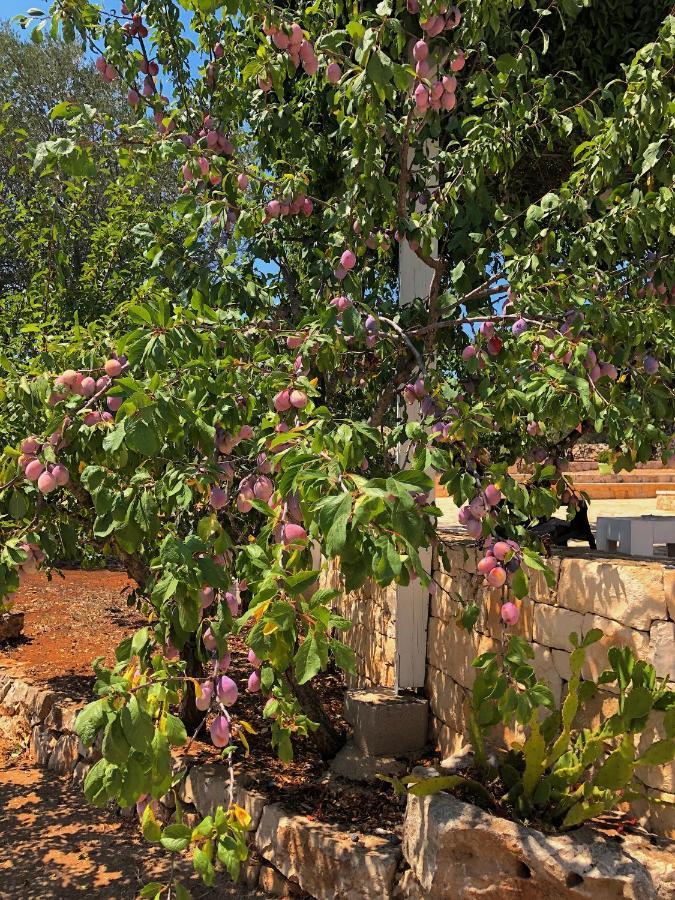 Dimore Storiche - Ulivo Di Aldo Martina Franca Kültér fotó