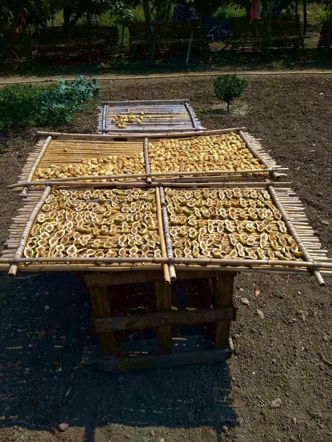 Dimore Storiche - Ulivo Di Aldo Martina Franca Kültér fotó